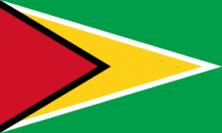 Guyana Flag